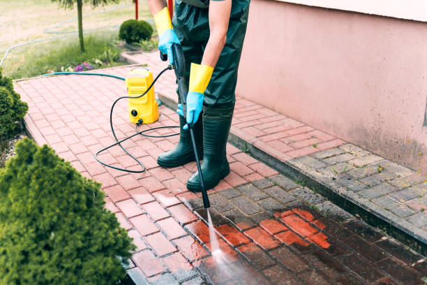 Animal Enclosure Cleaning in Chesapeake, VA